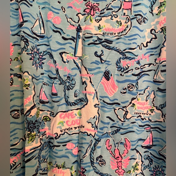 Lilly Pulitzer Kristen swing dress size large. Cape cod print - Picture 5 of 6